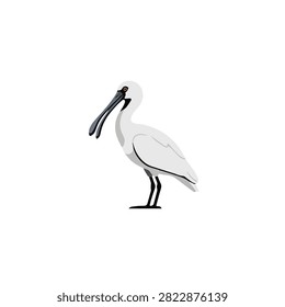 Elegant Black-faced Spoonbill Standing Vector Illustration Isolated on a Clean White Background