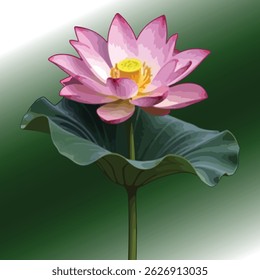 Elegant Blooming Pink Lotus With Leaf Vector Silhouette Icon