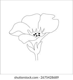 "Elegant blooms, timeless vector art"