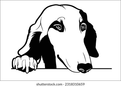 Elegant Borzois dog peeking, showcasing grace and beauty in every curve, captivating with its regal presence