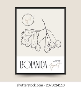 Elegant Botanical abstract wall arts. Floral vector poster collection.