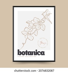 Elegant Botanical abstract wall arts. Floral vector poster collection.