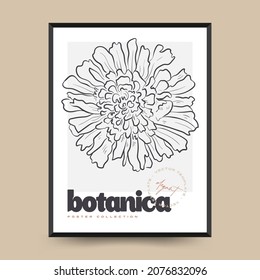 Elegant Botanical abstract wall arts. Floral vector poster collection.