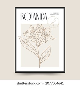 Elegant Botanical abstract wall arts. Floral vector poster collection.
