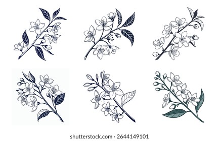 Elegant botanical bundle featuring six hand drawn flowers with delicate outlines on white background