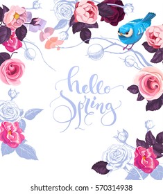 Elegant botanical card with hand written lettering Hello Spring. Cute blue bird, and roses on background. Vector illustration in romantic style for cards, posters, invitations, greeting card