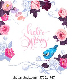 Elegant botanical card with hand written lettering Hello Spring. Cute blue bird, and roses on background. Vector illustration in romantic style for cards, posters, invitations, greeting card