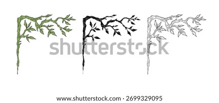 Elegant botanical corner frame, vector illustration