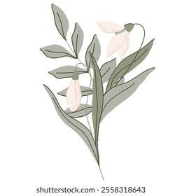 Elegant botanical flat illustration with bouquet. soft green leaves and pastel pink flowers snowdrops. Minimalist design with a muted color palette, perfect for spring decor