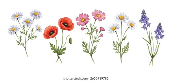  Elegant botanical illustration featuring delicate wildflowers in soft pastel hues. Perfect for wedding decor, greeting cards, and stylish designs, blending natural beauty with artistic cha