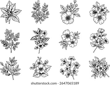 Elegant Botanical Illustrations A Collection of Hand Drawn Floral and Leaf Designs for Creative Projects