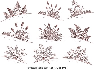 Elegant Botanical Illustrations A Collection of Hand Drawn Plants and Grasses in Contour Style Perfect for Nature Inspired Designs and Decorative Elements in Vintage or Minimalist Aesthetic Projects