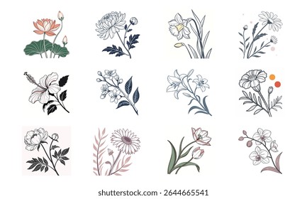 Ilustrações botânicas elegantes mostrando diversos arranjos florais de doze flores requintadas