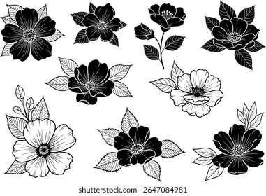 Elegant botanical imagery that exudes timeless charm A collection of eight extraordinary floral designs that feature intricate detail.