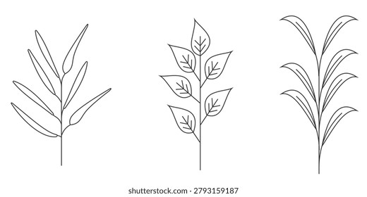 Elegant botanical leaf illustrations crafted with hand drawn simplicity and natural charm. Perfect for sustainable brands, invitations, product packaging, editorial graphics, and modern decorative applications.