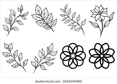Elegant Botanical Line Art Featuring Delicate Floral and Leaf Illustrations for Creative Design Projects and Artistic Compositions with a Minimalist Aesthetic