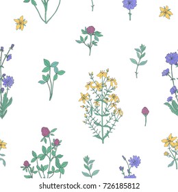 Elegant botanical seamless pattern with flowering herbs on white background. Gorgeous meadow flowers and blooming medicinal plants - clover, chicory, hypericum. Vector illustration for fabric print.