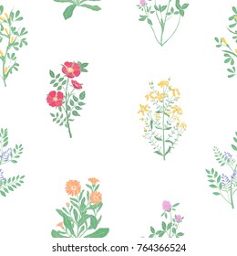 Elegant botanical seamless pattern with meadow medicinal herbs on white background. Beautiful wild flowers and blooming herbaceous plants. Colorful vector illustration for fabric print, wallpaper.