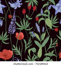 Elegant botanical seamless pattern with wild flowers and herbs on black background - field poppies, lupine, great burnet, granny's bonnet, peppermint. Floral vector illustration in antique style.