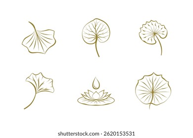 Elegant botanical set with ginkgo leaves and lotus flower on white background