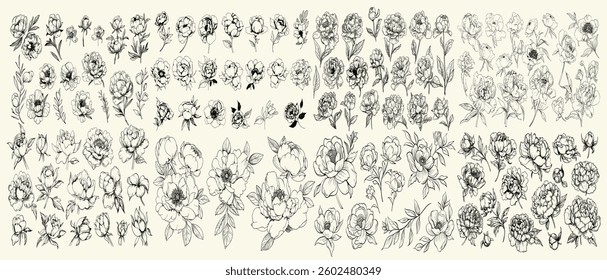 Elegant botanical vector collection for wedding invitations, rustic trendy greenery, peony black line art set, floral branch, modern design, wedding herb, wedding branding, floral decoration.