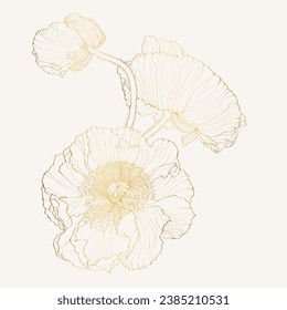 Elegant bouquet, golden line poppy flowers and buds, design element. Floral decoration for wedding invitations, greeting cards, banners.