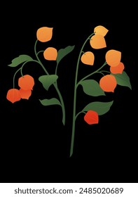 Elegant branches of physalis. Vector botanical illustration of flower isolated on black background. Minimalistic plant with bright fruits for design.