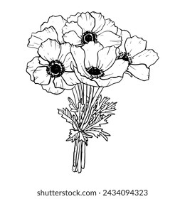 Elegant bride's bouquet of anemone flowers vector illustration. Field poppies for spring wedding design, coloring books and Mothers day cards