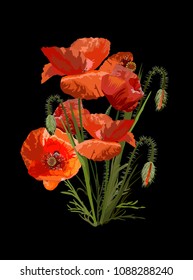 Elegant, bright vegetable bouquet from large garden red poppies. Vector. It can be used for stylish greeting cards, packages, textiles, t-shirts, tiles. Print on a black background.