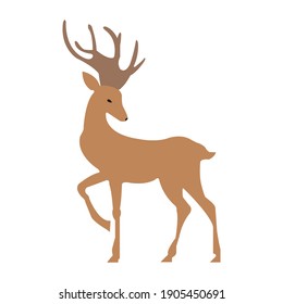 Elegant brown deer on a clean white backdrop