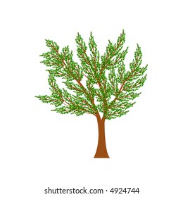 Elegant brown and green spring tree vector