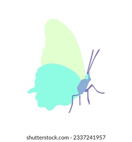 Mariposa elegante. Ilustración vectorial dibujada a mano.
