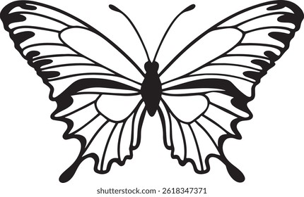 Elegant Butterfly Illustration Detailed Vector Art of a Butterfly with Intricate Wing Patterns