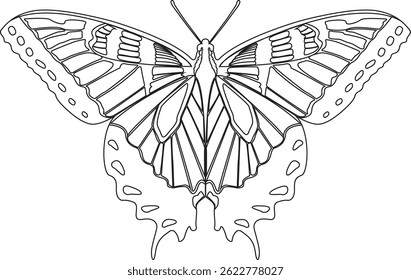 "Elegant butterfly line art illustration. Minimalist, hand-drawn style perfect for tattoos, wall art, logos, and design projects.