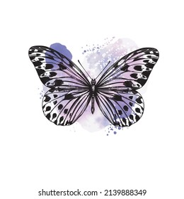 Elegant butterfly on a background of watercolor stain vector illustration. Butterfly drawn in engraving style, element isolated from background. Illustration for printing on clothes, postcards, decor