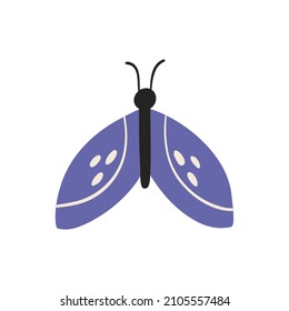 Elegant Butterfly with patterns on the wings and antennae. A simple flat vector illustration isolated on a white background. Cute insect