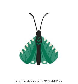 Elegant Butterfly with patterns on the wings and antennae. A simple flat vector illustration isolated on a white background. Cute insect