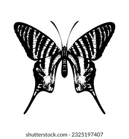 Elegant Butterfly Silhouette isolated on white background. Vector illustration