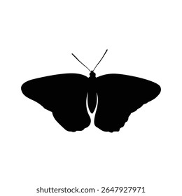 Elegant butterfly silhouette with wings fully open, showcasing balance and symmetry.