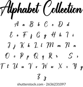 Elegant calligraphy alphabet with uppercase and lowercase cursive letters in a modern handwritten script style on white background.