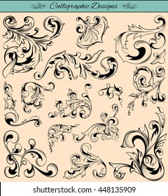 Elegant calligraphy design elements for designing and Page Decoration in vector