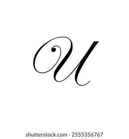 Elegant calligraphy letter U with swirling design.