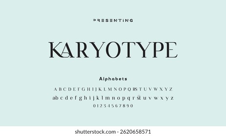 Elegant Calligraphy Script Font. Perfect for Weddings, Invitations and Luxury Branding.