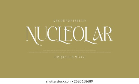 Elegant Calligraphy Script Font. Perfect for Weddings, Invitations and Luxury Branding.