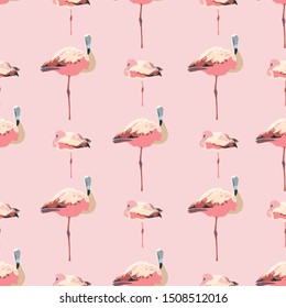 Elegant calm flamingo summer pattern. Realistic flamingo bird in geometric row in pastel pink tones. For fashion, fabric, wallpaper, packaging design, stationary.
