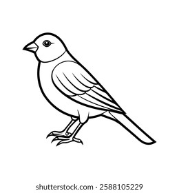 Elegant canary vector silhouette on a white background, perfect for logos, branding, t-shirts, posters, tattoos, and digital artwork. Ideal for designers, marketers, and content creators looking for h