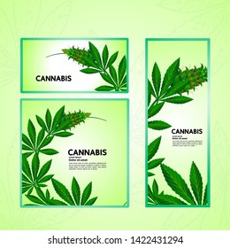 Elegant cannabis leaf Background vector illustration.