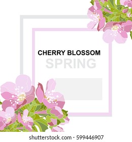 Elegant card with decorative cherry blossom flowers, design element. Can be used for wedding, baby shower, mothers day, valentines day, birthday cards, invitations, greetings. Spring theme. Editable