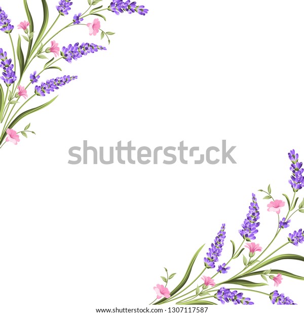 Elegant Card Lavender Flowers Watercolor Paint Stock Vector Royalty Free