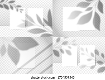 Elegant Cards Mockup Set With Floral & Window Overlay Shadows. Editable Empty Stationery Card Vector Scene With Flowers Background